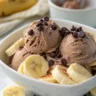Banana Chocolate Ice Cream