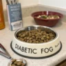 diabetic dog food ingredients, diabetic dog food, diabetic dog diet, best dog food for diabetic dogs, best diet for diabetic dog, diabetic dog won't eat, food for diabetic dogs, diabetic dog food, dog food for diabetic dogs, best dog food for diabetic dogs, best food for diabetic dog, diabetic dog foods